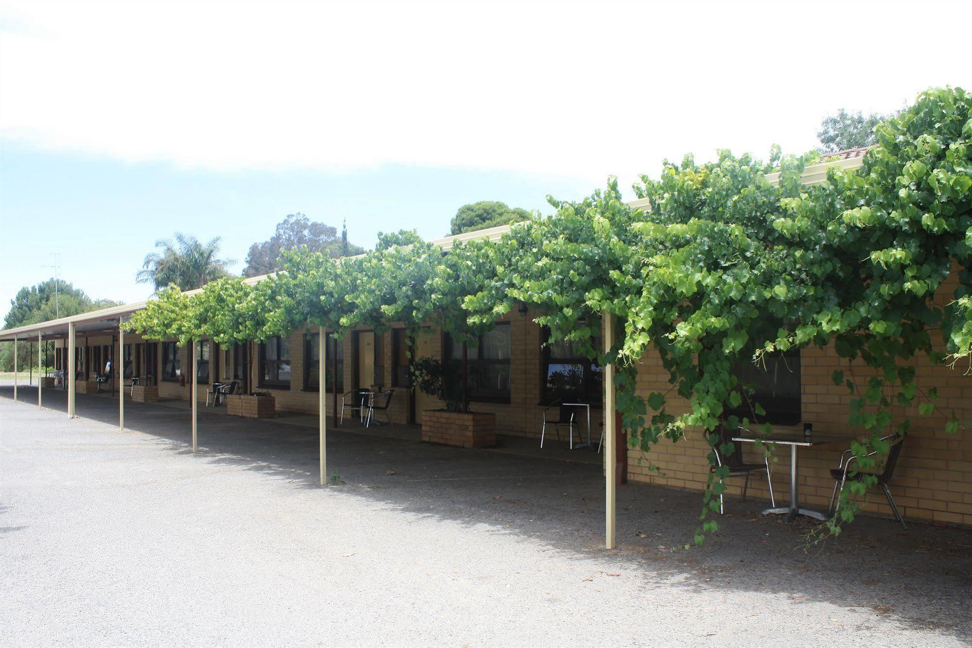 安格斯顿葡萄园汽车旅馆 Angaston 外观 照片